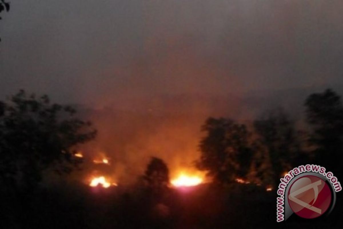 BPBD Kutai Deteksi Tiga Lokasi Kebakaran Lahan