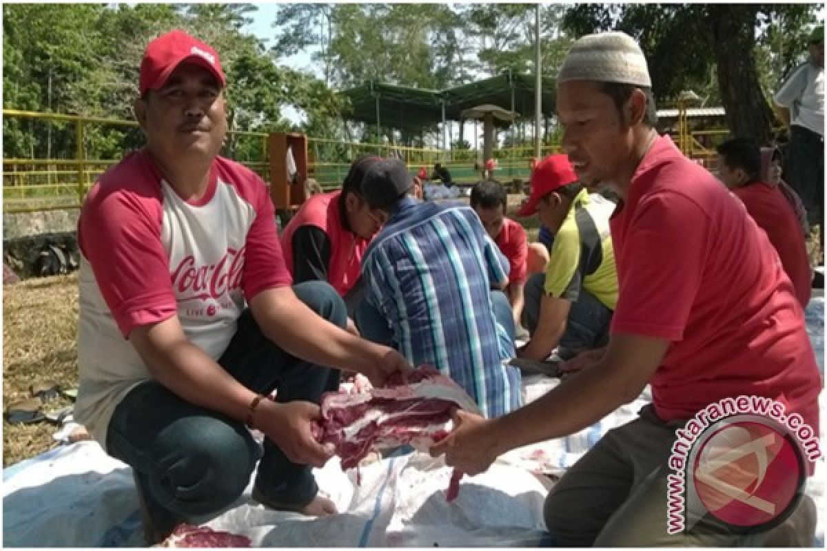 Coca-Cola Bagikan 163 Ekor Hewan Kurban