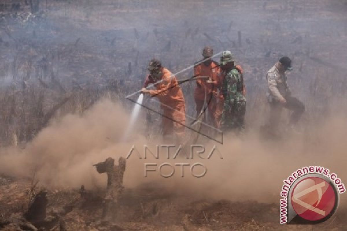 Ratusan Hektare Lahan Di Tanah Laut Terbakar 