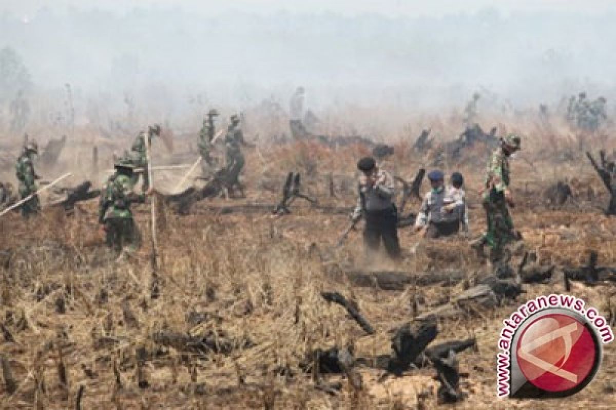 Walikota Gorontalo Ingatkan Warga Jangan Membakar Lahan