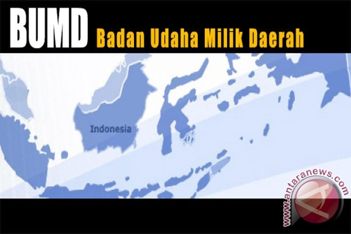 DPRD Kalsel Pelajari BUMD Jatim Dan Jabar 