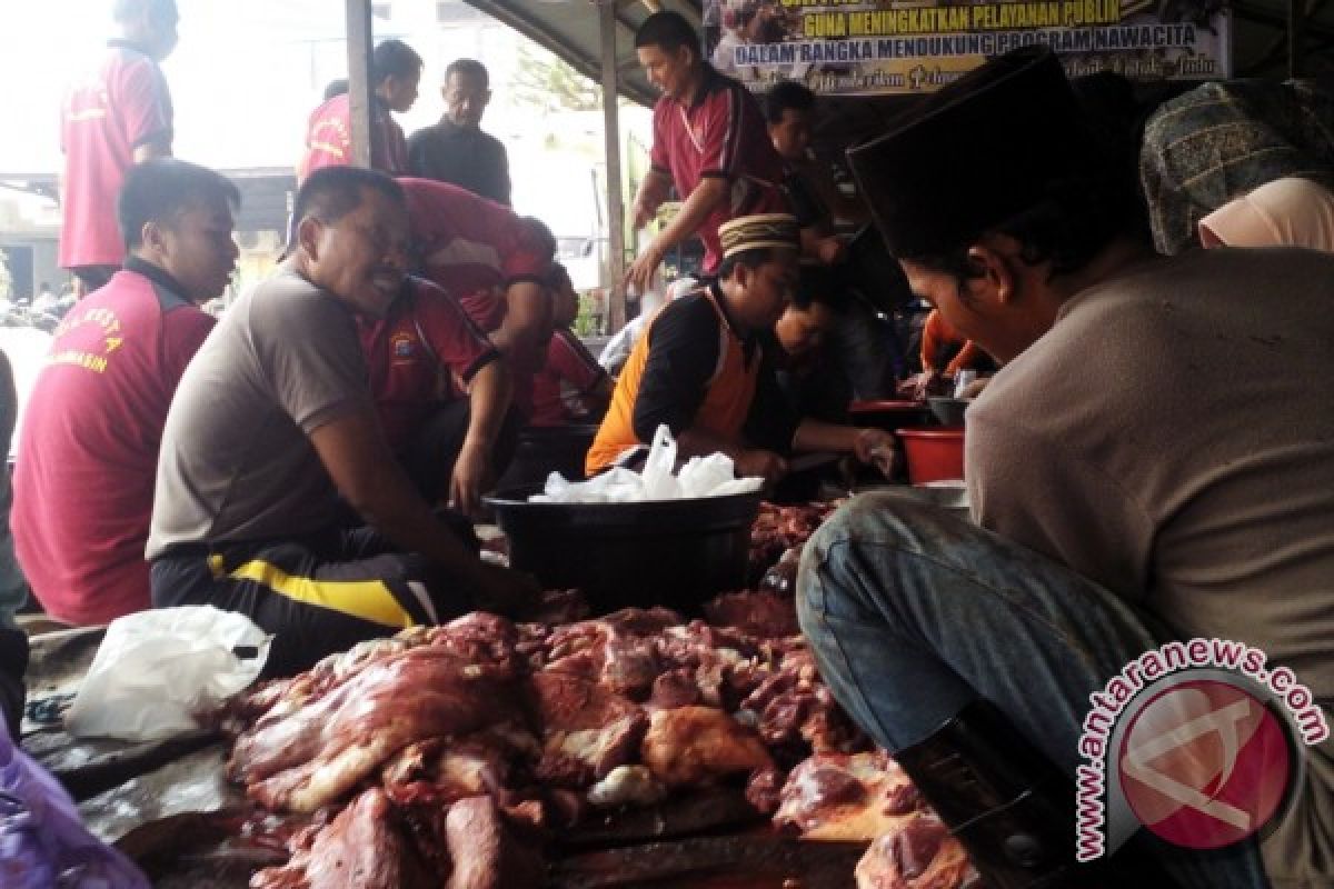 Polresta Banjarmasin Berkurban Sembilan Ekor Sapi 