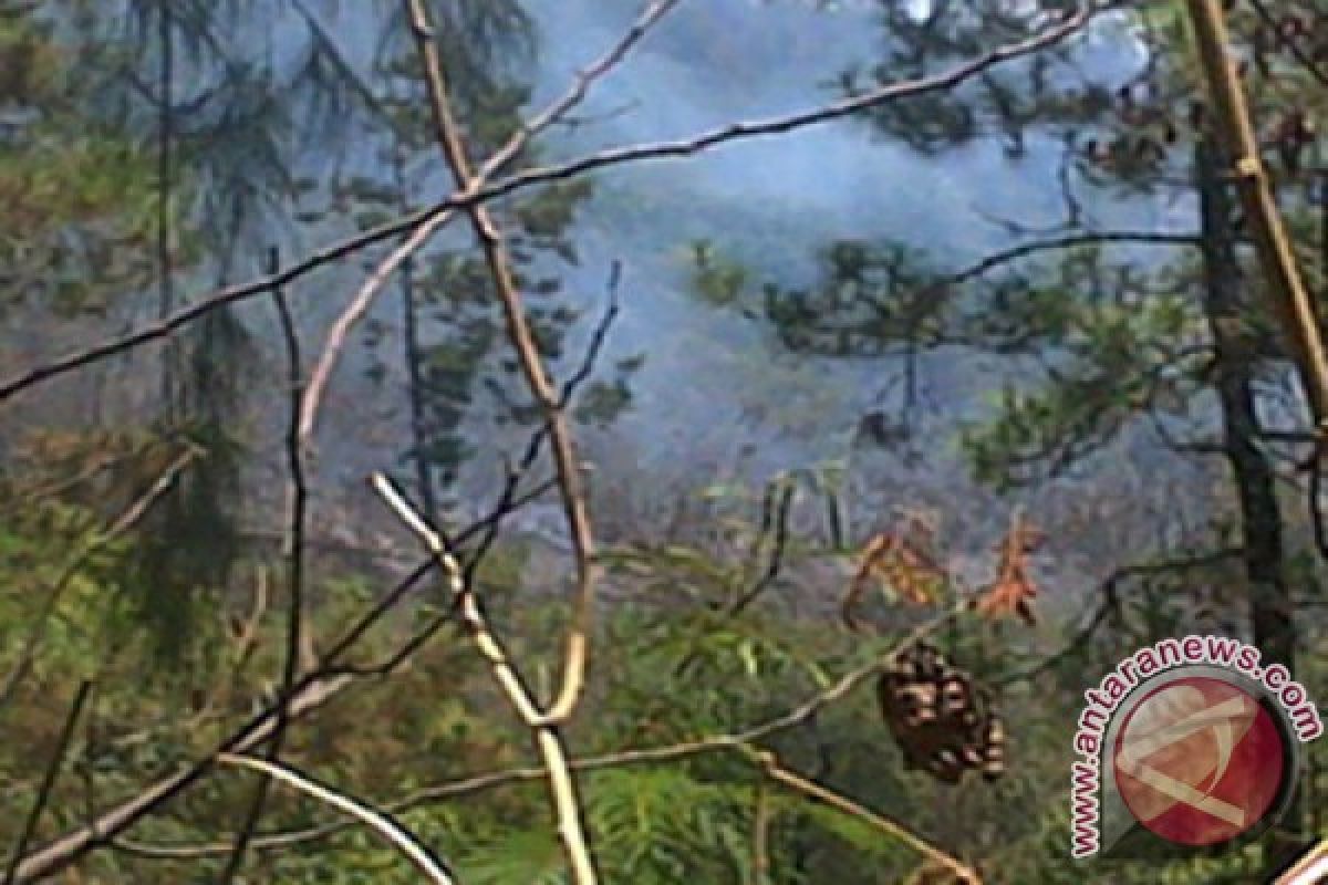 LSM: Kerusakan Kawasan Hutan Lindung Tulungagung Mengkhawatirkan