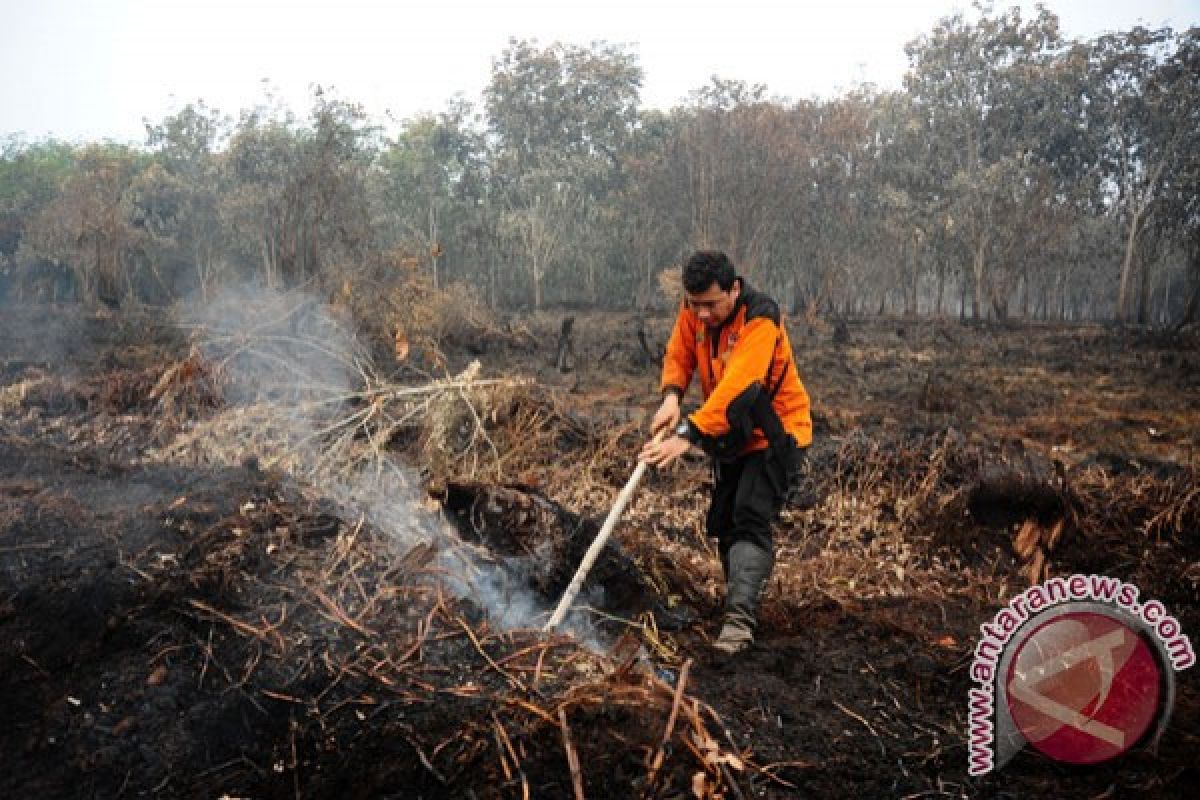 Tim gabungan Singkawang terus padamkan kebakaran lahan