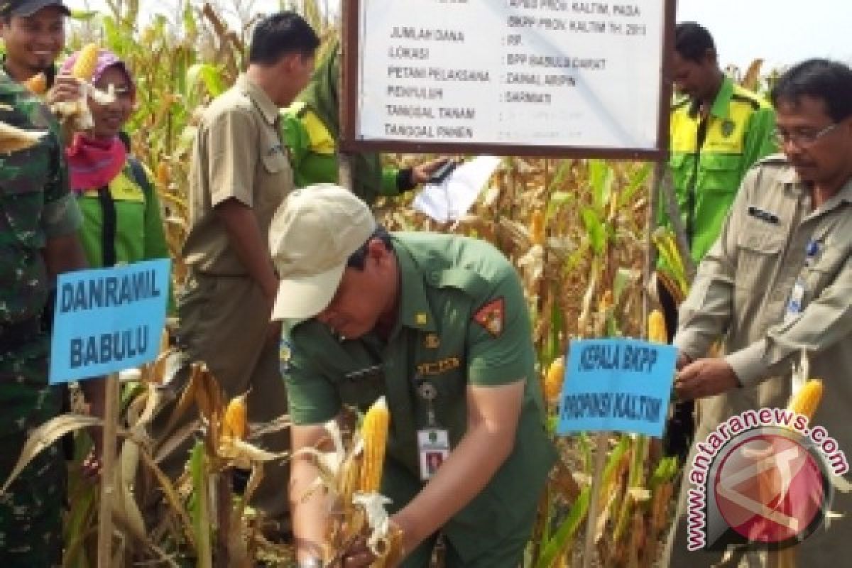  Kabupaten dan Kota Wajib Dukung Pengembangan BPP