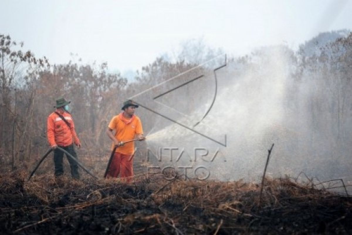 Tim gabungan masih berupaya padamkan kebakaran lahan di Singkawang