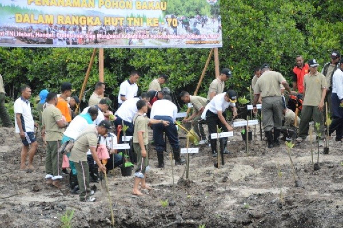 TNI dan masyarat Papua tanam ribuan pohon bakau