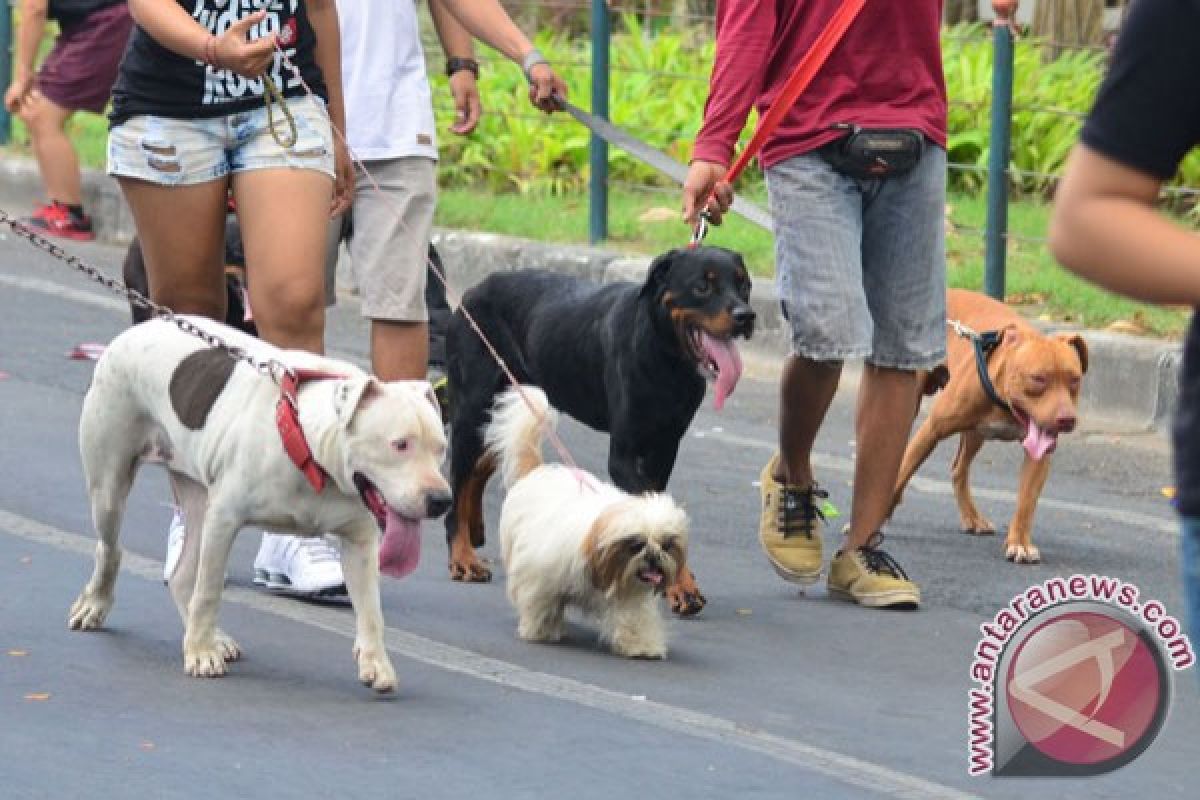 Tujuh warga Gorontalo korban gigitan anjing liar