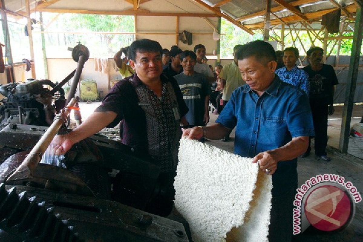 Government Promises Domestic Rubber Absorption