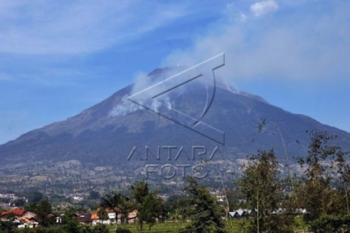 Hutan Gunung Sindoro Terbakar Lagi