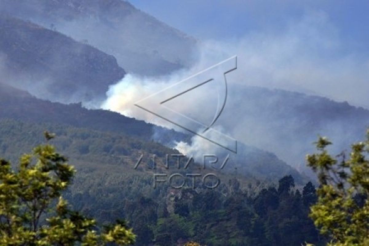 Kebakaran Hutan di Pegunungan Muria Meluas