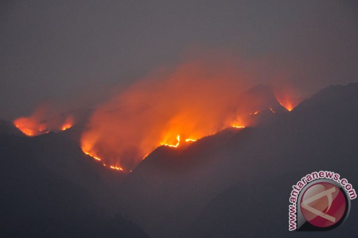Taman Nasional Gunung Merbabu terbakar