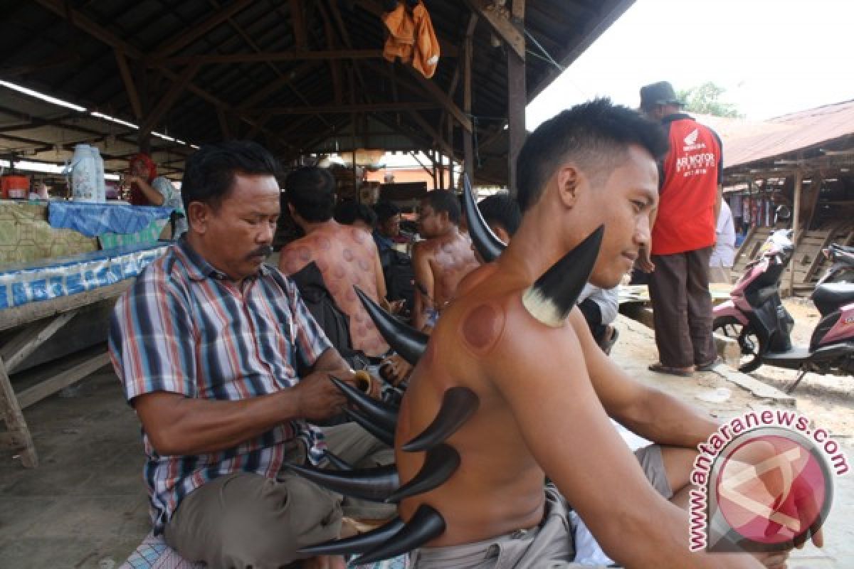 Apa itu pengobatan bekam tanduk sapi?