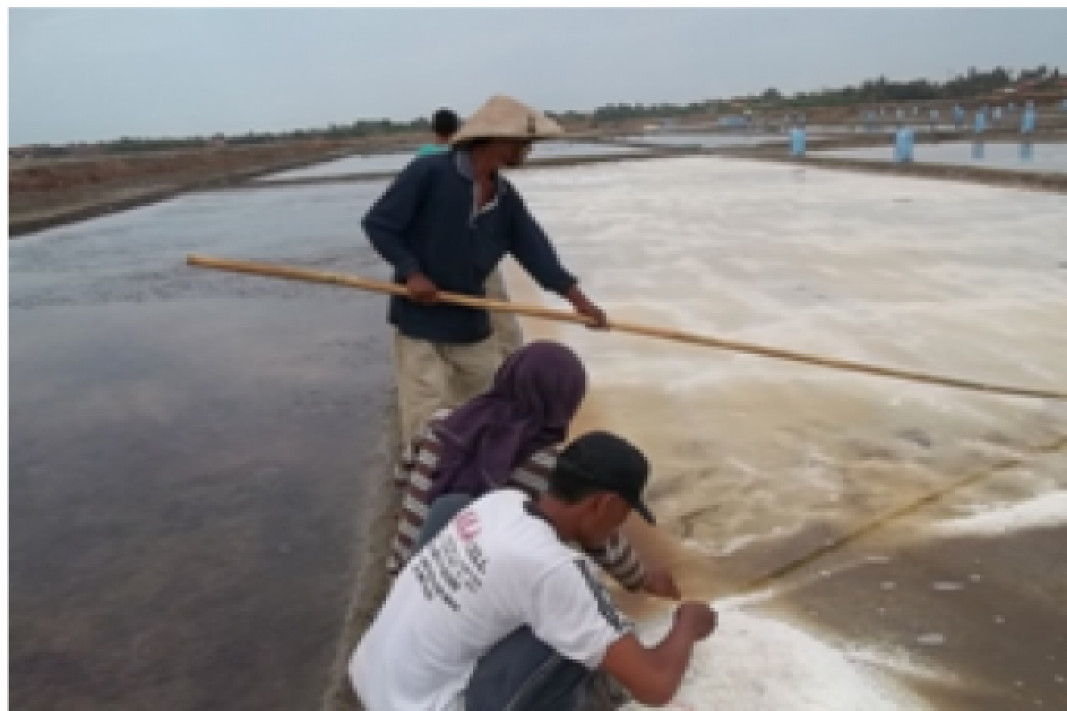 Ini sebab harga garam petani di Karawang melonjak