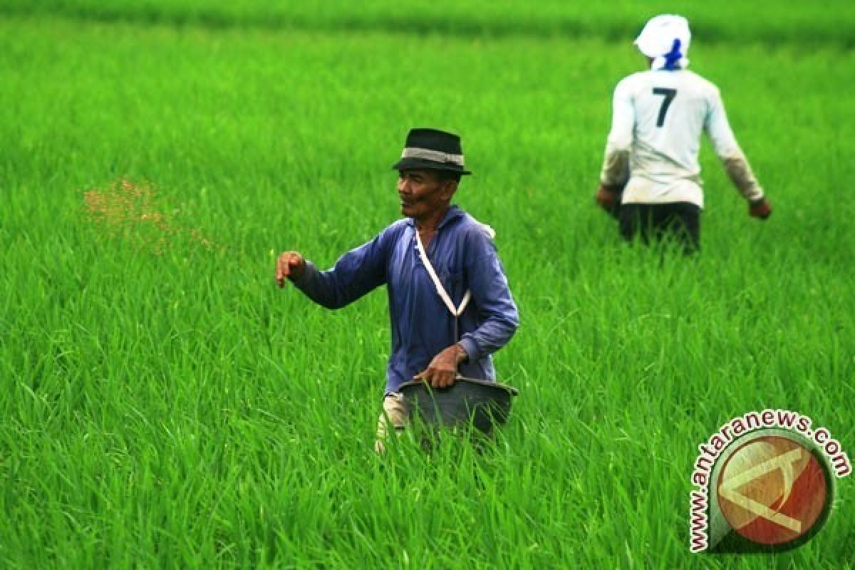 Sektor Pertanian Mampu Mendongkrak NTP Banten 0,65 Persen