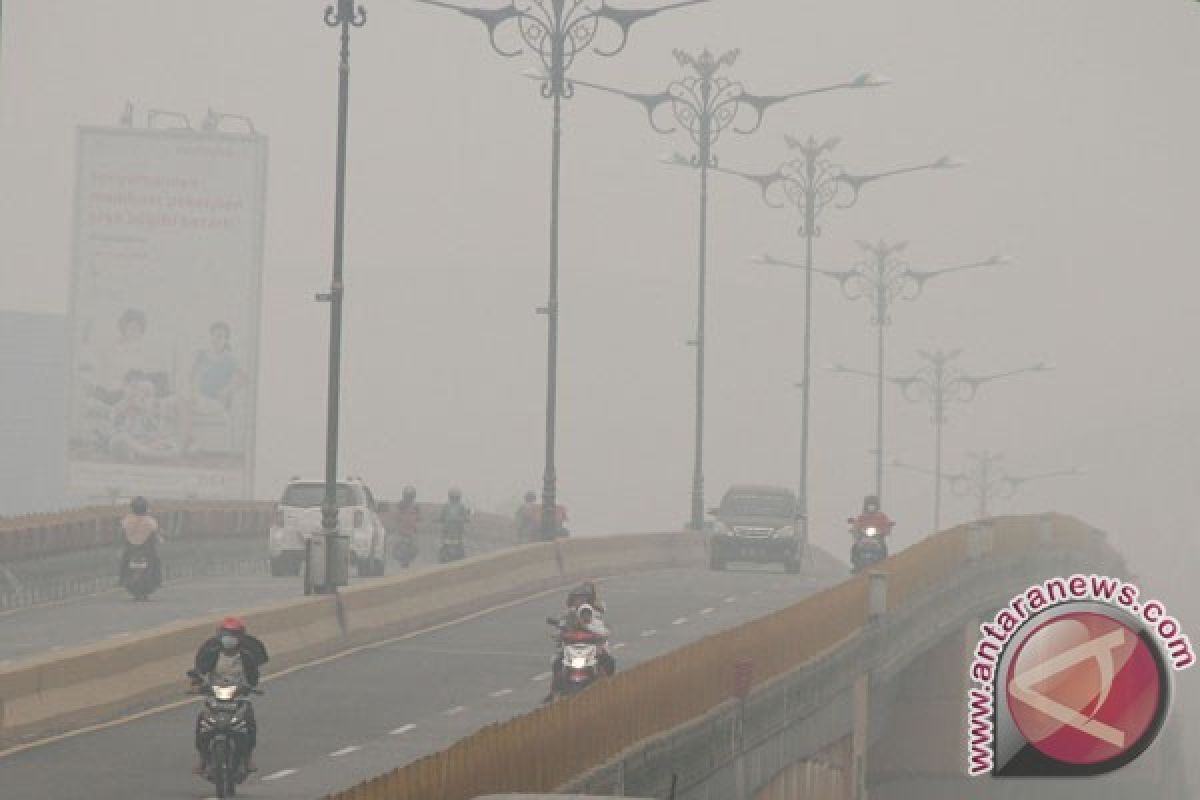 Kabut asap selimuti Pekanbaru