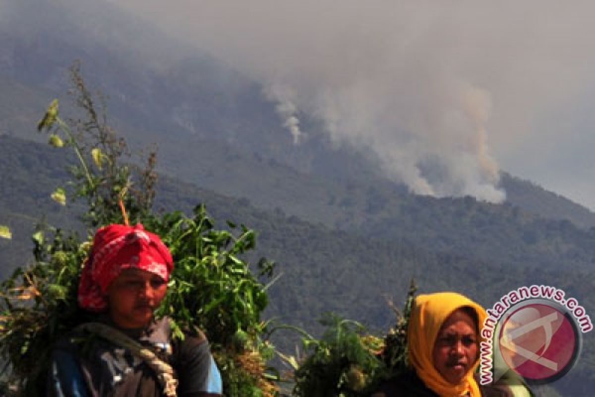 TNGM : kebakaran hutan Merapi ada unsur kesengajaan