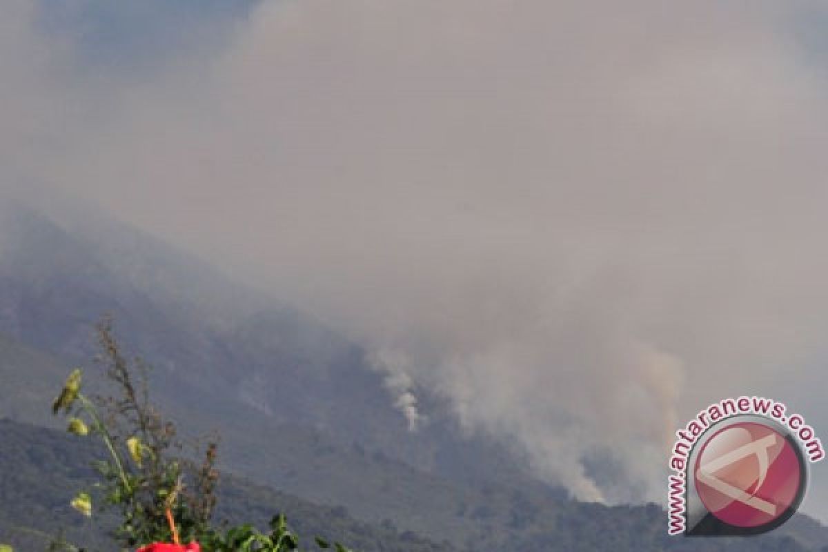 SAR gunakan bom air pemadaman kebakaran Merbabu