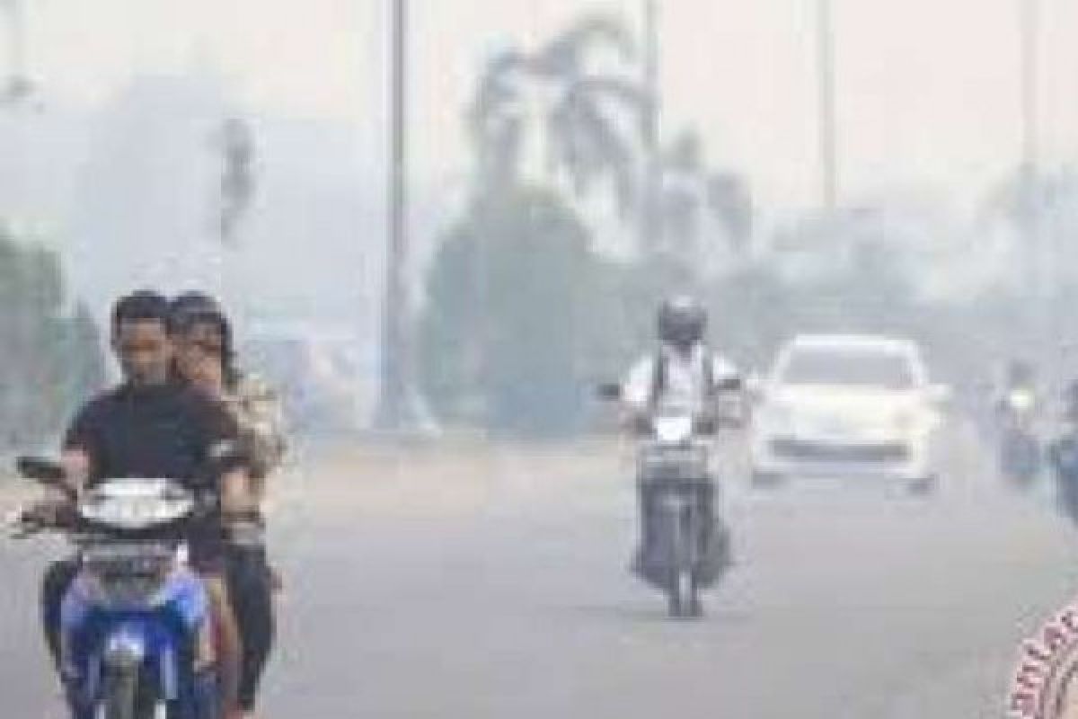 17 Perusahaan Di Riau Diduga Terlibat Pembakaran Lahan
