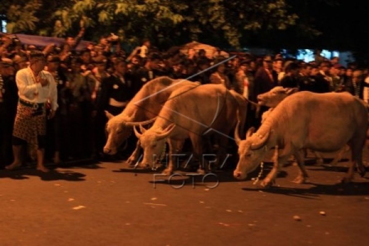 Kirab Malam Sura tetap Lewat Alun-alun Utara