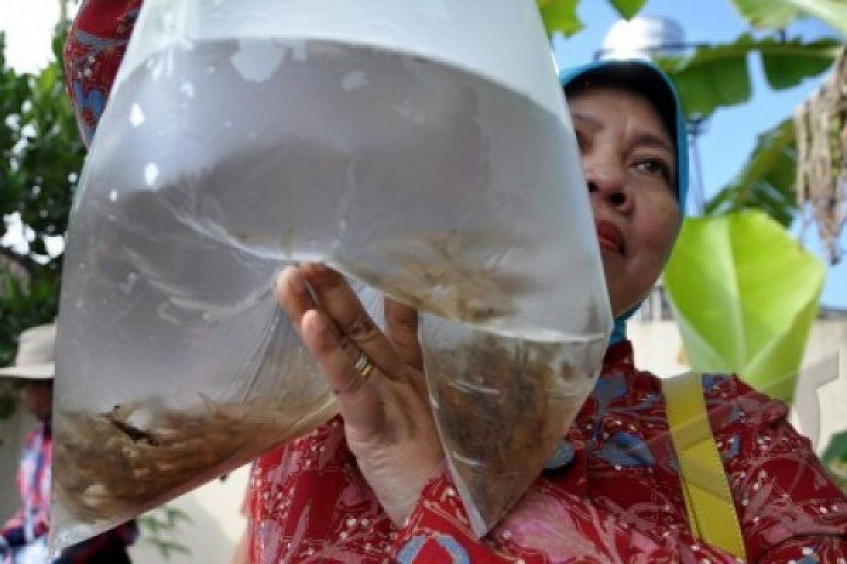 SDA Temanggung Potensial Dukung Pengembangan Perikanan