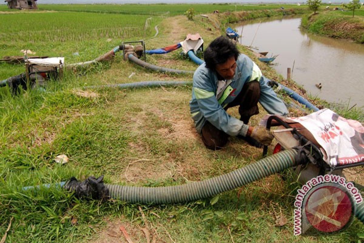 Program cetak sawah baru di Kotim gunakan lahan dekat sungai