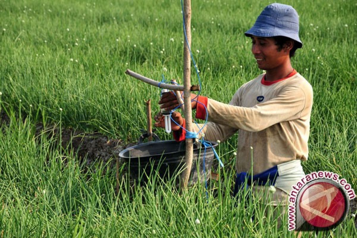 Nilai tukar petani naik 1,04 persen