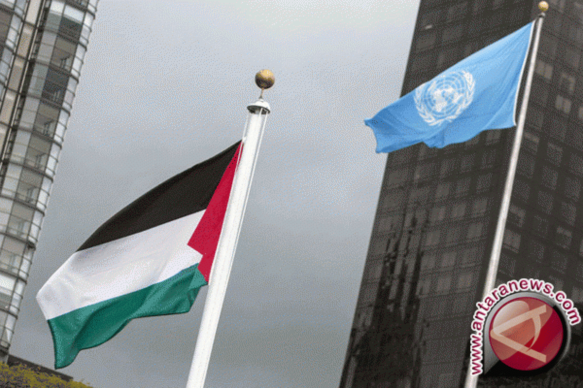 Mesir Berikrar Perjuangkan Palestina di DK PBB