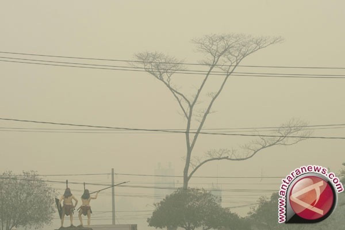  KPAI: Lima bayi tewas akibat kabut asap
