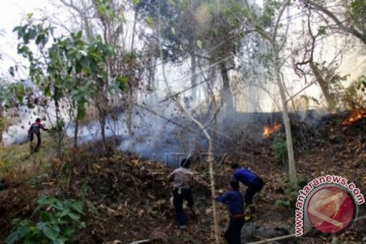 Tiga hektare lahan di Majene terbakar