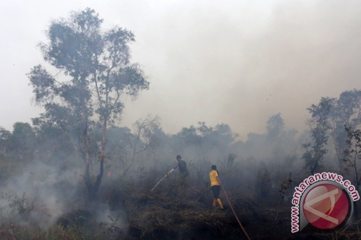 Pemerintah perlu siita aset perusahaan pembakar hutan