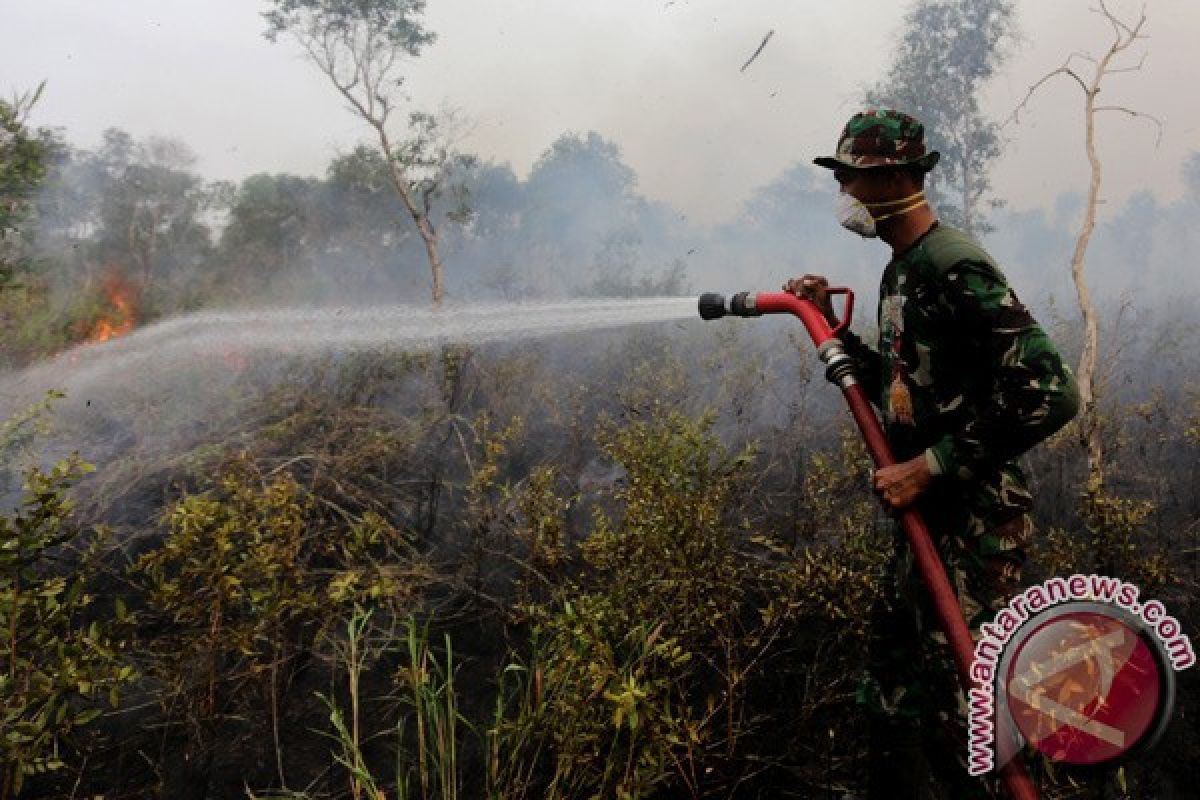 DPRD Musirawas minta pemerintah serius atasi kebakaran 