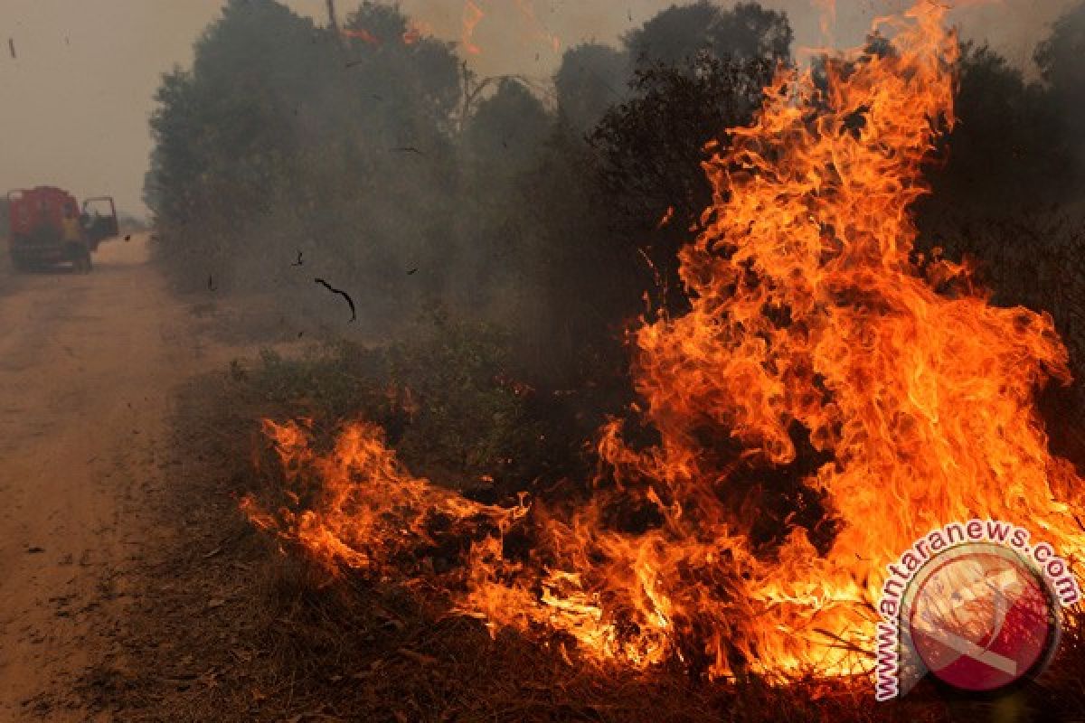 Empat titik panas di Sumatera berpotensi kebakaran