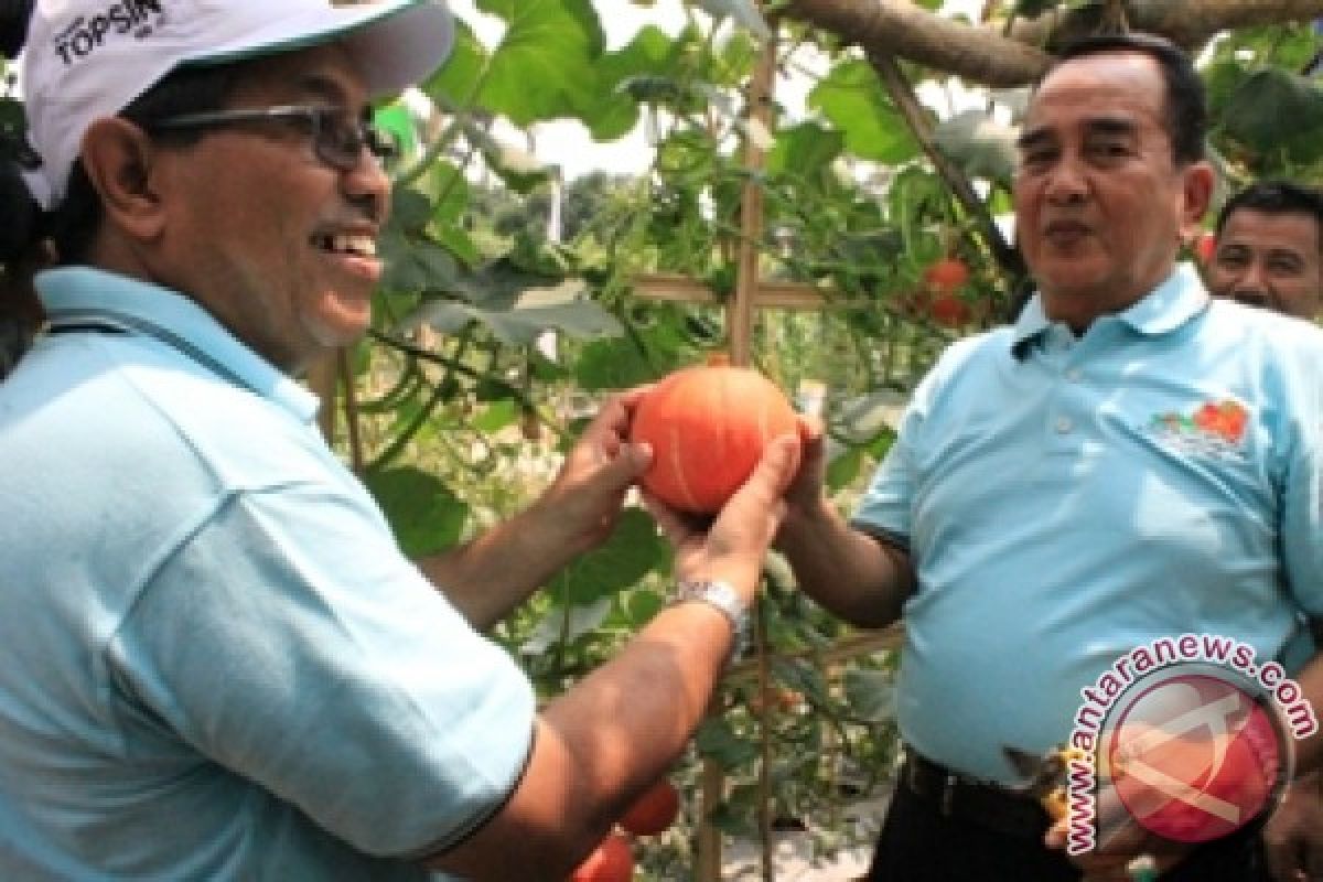  BBI Hortikultura Jadi Kawasan Agrowisata