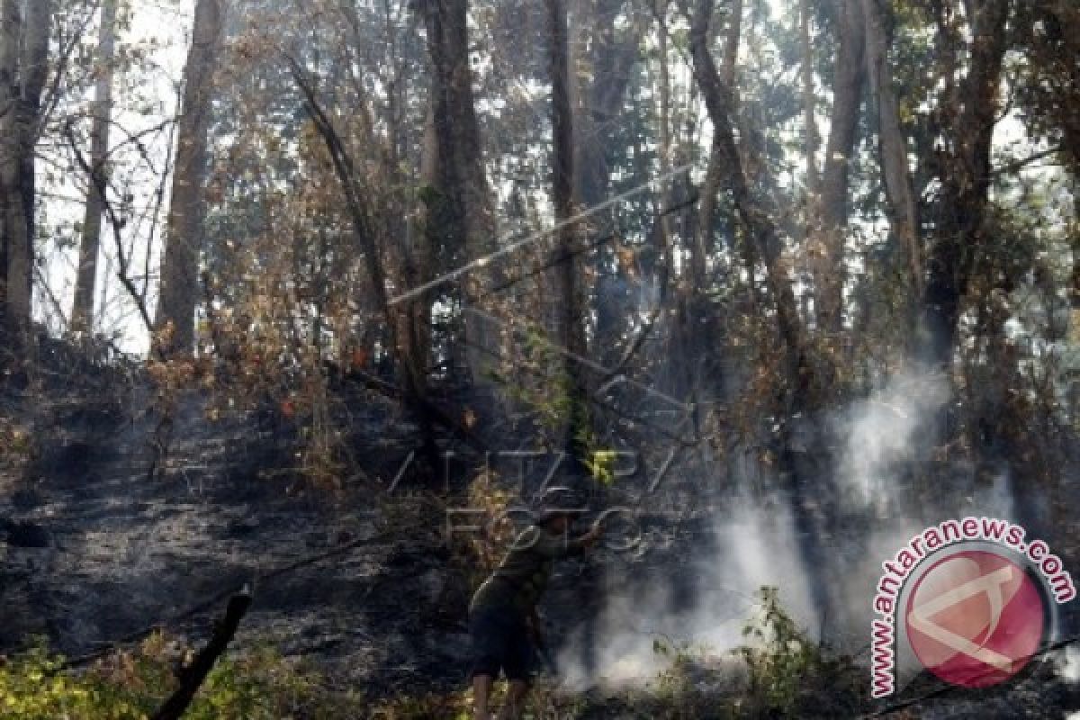 Pemadaman kebakaran hutan di Sigi libatkan TNI