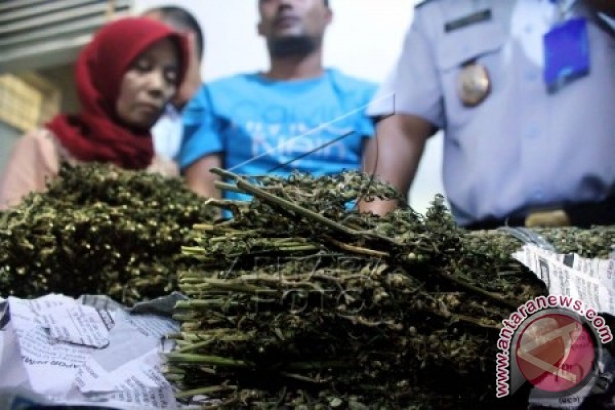 Polisi temukan 183 bungkus ganja di LP Banda Aceh