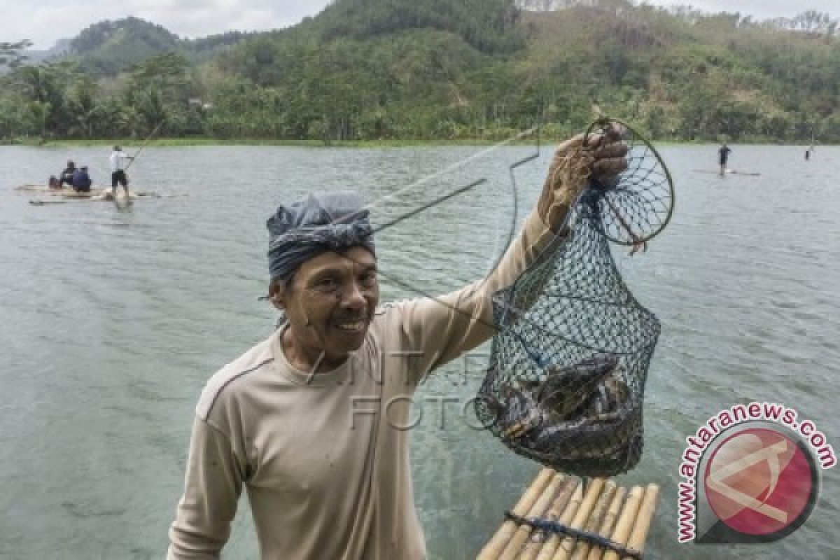 Akibat Kemarau, Produksi Ikan di Jabar Menurun 