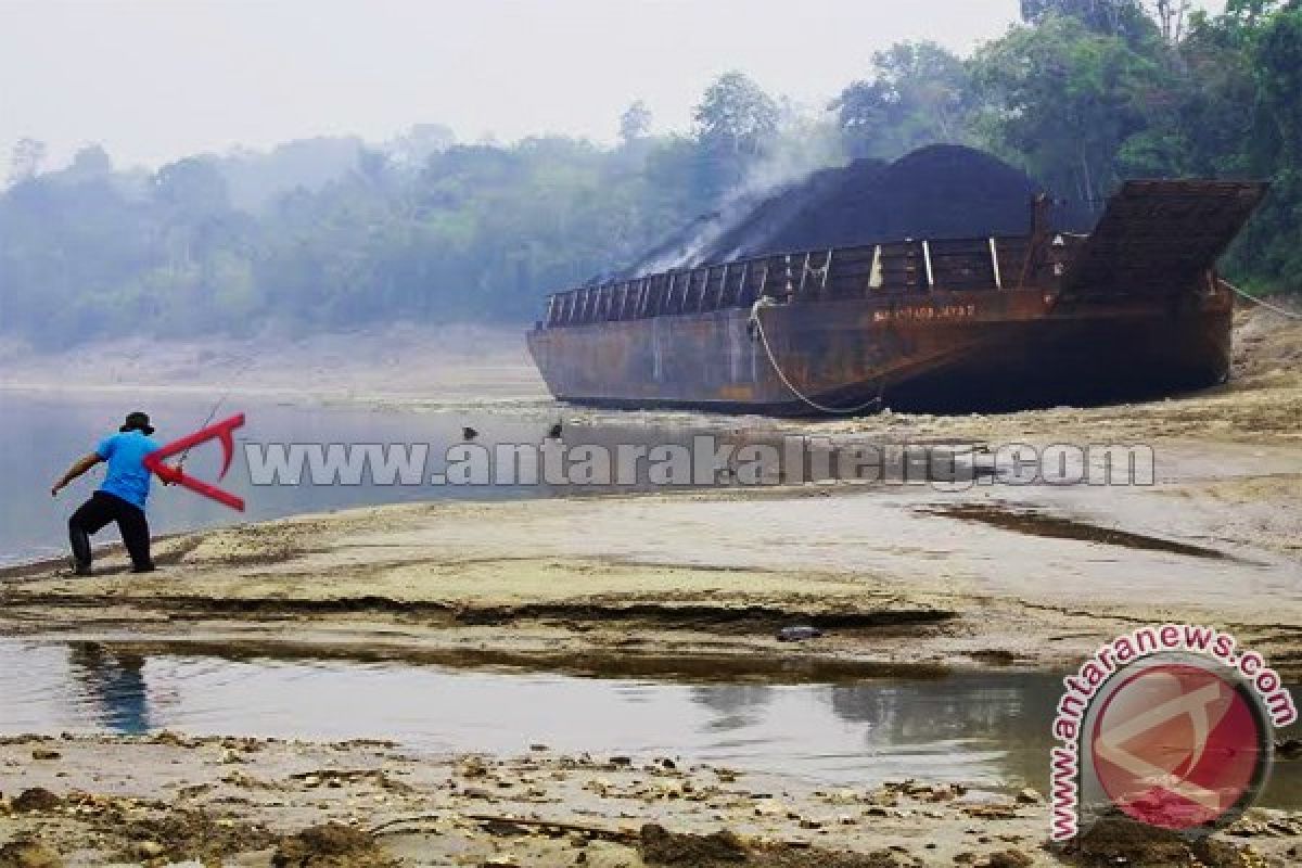 Hulu Barito Surut Kapal Tongkang Terperangkap Kandas