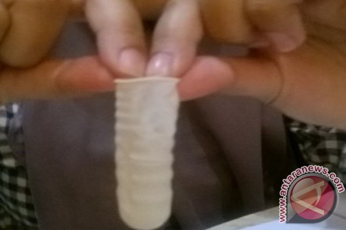 Mahasiswa Universitas Brawijaya Ciptakan Kondom Sapi 