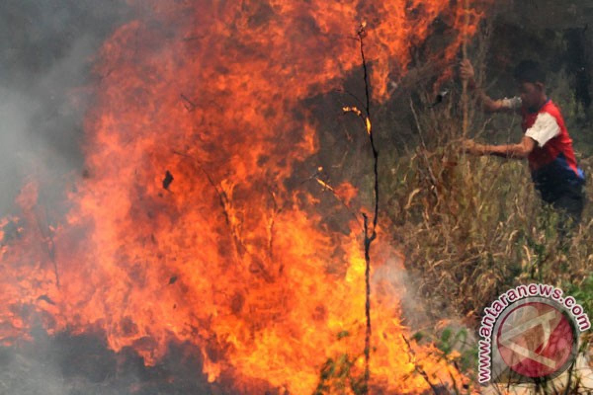 BENCANA ASAP - Indonesia bekerjasama dengan lima negara atasi asap