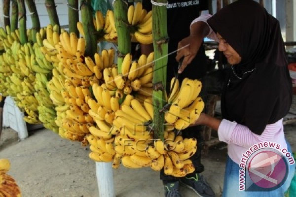 Musim Kemarau Harga Pisang di Gorontalo Naik 