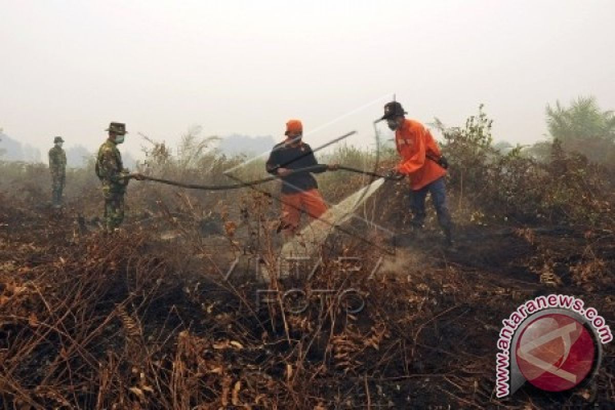 Peradi dan Walhi kumpulkan data korban Karhutla