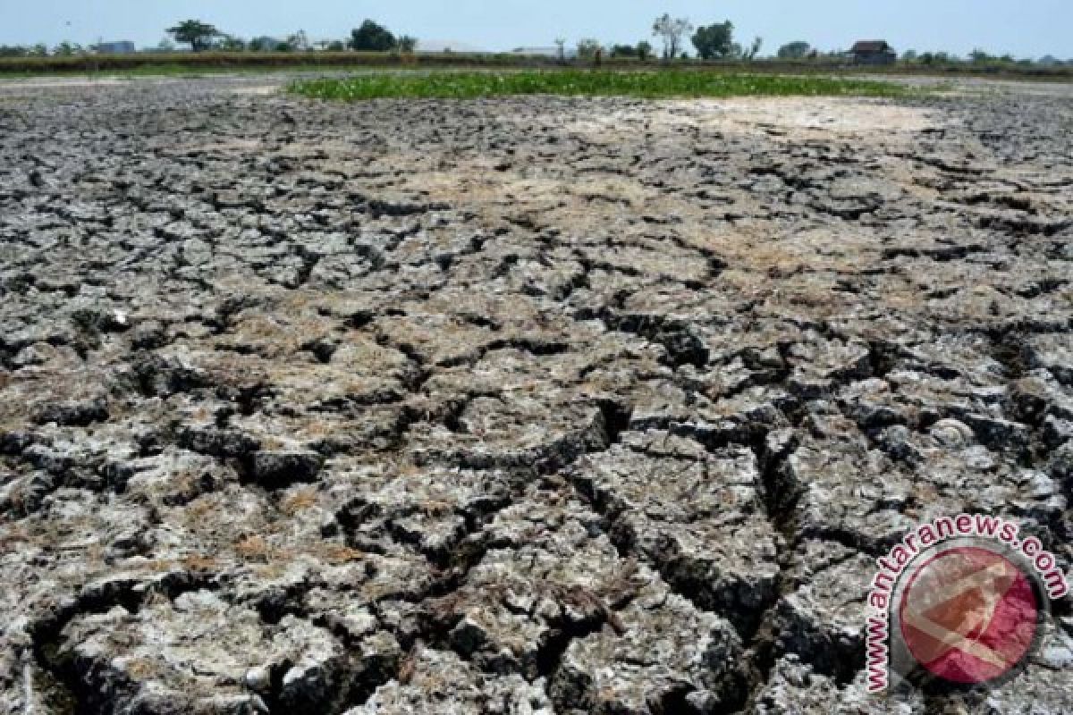 Kekeringan Kritis Landa 25 Desa di Bangkalan