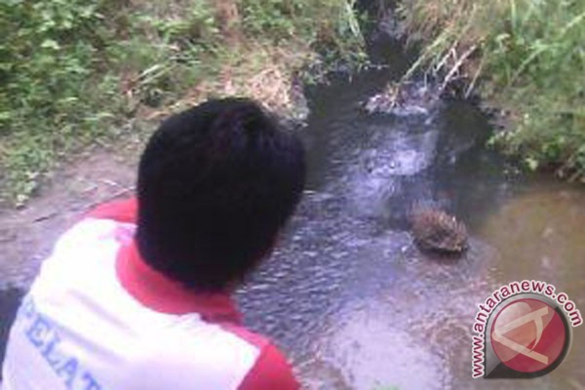 Mukomuko minta uji laboratorium sungai tercemar limbah