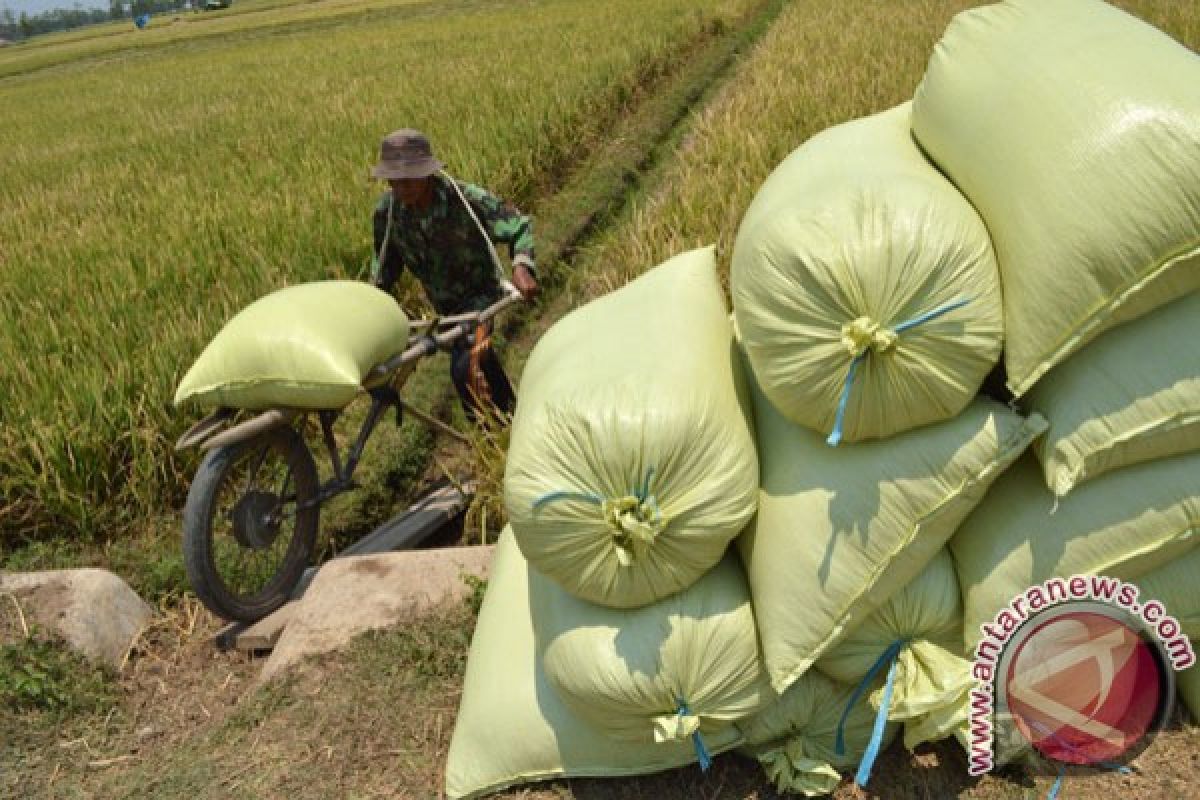 Petrokimia Gresik Pastikan Stok Pupuk Aman