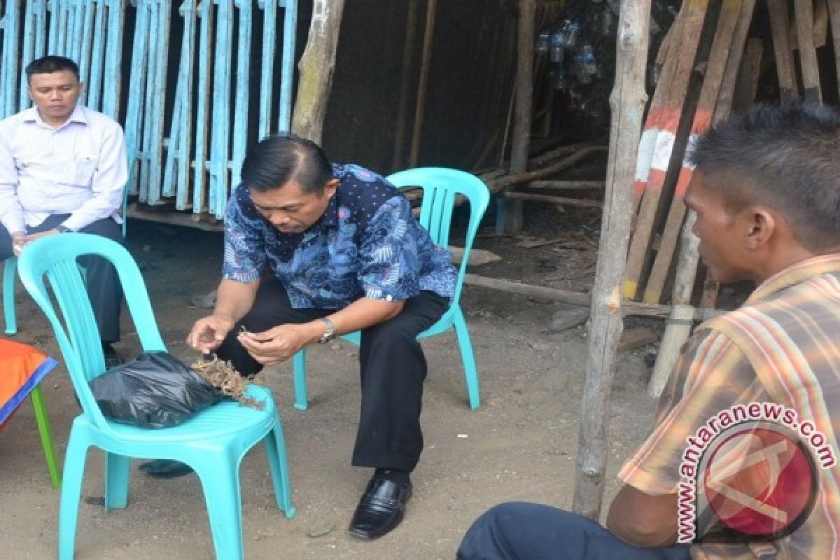 Pemkab Gagas Budidaya Rumput Laut Berbasis Sekolah 