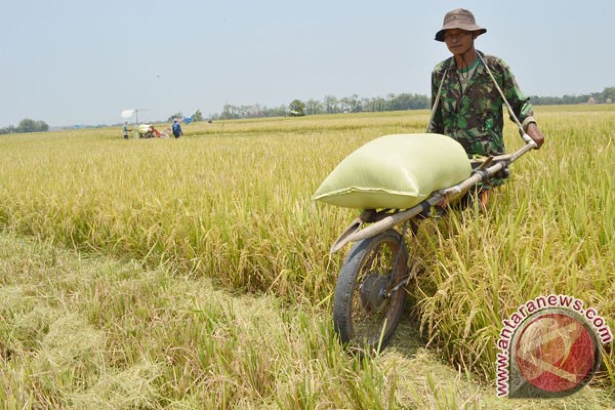 Karawang bangun 30 lumbung pangan