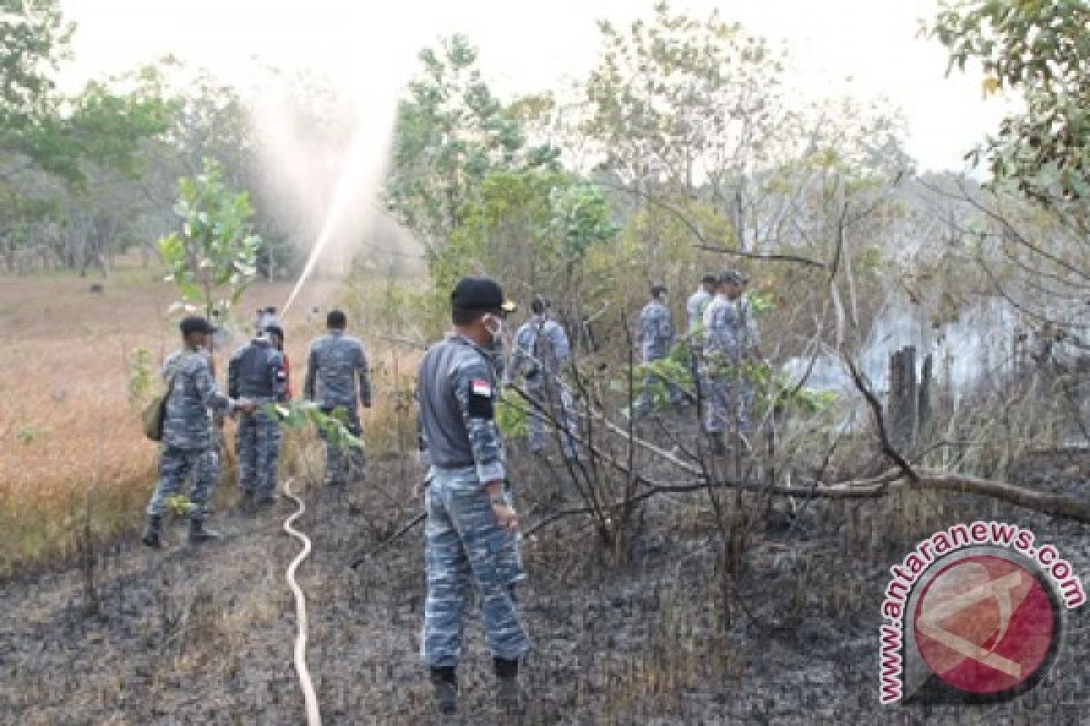 TNI-AL Padamkan Kebakaran Lahan 41 Hektare