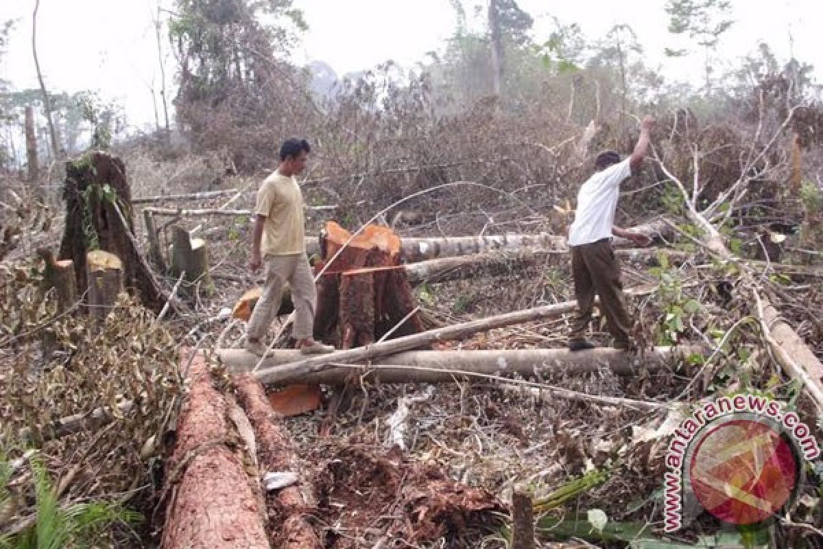 Warga tolak hutan adat dijadikan usaha perkebunan