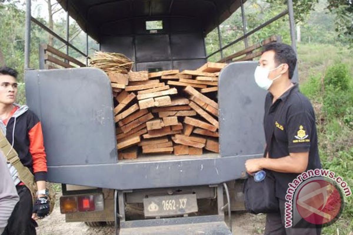 Polres Rejang Lebong amankan tiga kubik kayu